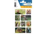 Adesivo Herma Animali Della Foresta