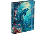 Baagl Cartelle Per Quaderni Scolastici A5 Dolphin