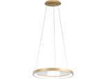 Krizia - Lampada A Sospensione Led 50W Dimmerabile - 2900Lm, Luce Calda 3000K, Anello Oro Spazzolato, Diffusore Opale, D. 60 Cm, IP20
