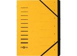 Pagna 40058-05 Organizzatore "Fascicolo Di Selezione"" 7 Scomparti Giallo"