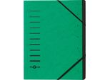 Pagna 40058-03 Organizzatore "Cartella Di Smistamento"" 7 Scomparti Verde"