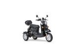 ENEWAY 3-Rad E-Mobil Modena II 25 km/h E-Trike ETrike Elektrofahrzeug Mobilitätsfahrzeug schwarz