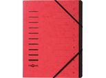 Pagna 40059-01 Cartella Organizer 12 Scomparti Rosso(T)