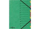 Pagna® 24131-03 Organizer Easy - 12 Scomparti, A4, Cartoncino, 265 G/M², Verde