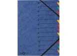 Pagna® 24131-02 Organizer Easy - 12 Scomparti, A4, Cartoncino, 265 G/M², Blu