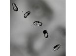 Peter Gabriel: Up - 2 Lp (Gabriel Peter)