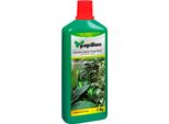 Concime Liquido Papillon Per Piante Verdi 1 Kg