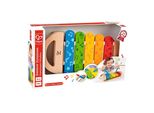 Hape Arcobaleno Xilofono Strumento Musicale Glockenspiel Musica In Legno Gioco