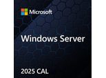 Windows Server Cal 2025 Polish 1Pk Dsp Oei 5 Clt Device Cal Software