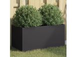 Maison Exclusive - Vaso Da Fiori Nero 62X30X29 Cm In Acciaio