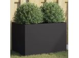Maison Exclusive - Vaso Da Fiori Nero 62X40X39 Cm In Acciaio