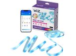 Wiz Striscia Led 10M