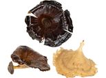 Kalix Funghi Naturali Verniciati 100 Pezzi - Funghi Decorativi Per Decorazioni Autunnali E Invernali, 100 Pezzi