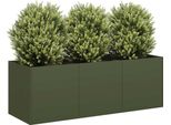 Maison Exclusive - Vaso Da Fiori Verde Oliva 120X40X40 Cm Acciaio Laminato A Freddo