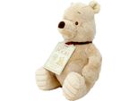 Peluche Arcobaleno Winnie The Pooh