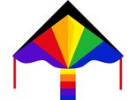 Aquilone Simple Flyer Rainbow A Linea Singola
