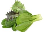 Click & Grow Click & Grow Plant Pod Asia Cuisine Mix 9Pcs