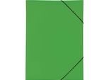 Pagna® 21638-05 Cartella Elastica A3 Verde Pp 3 Lembi