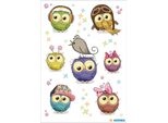 Herma Magic Adesivi Gufo Bambini, Trasparente