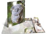 Herma Sammelmappe A4 Glossy Koala Polypropylen