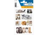 Herma Decorazioni Sticker Cat Children
