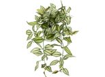 Kunstpflanze I.Ge.A. "TradescantiahäNger", Bunt (GrüN,Rot), B:26Cm H:42Cm L:22Cm, Kunstpflanzen, Kunstpflanze, Mit ÜBertopf Kunstpflanze HäNgepflanze Pflanzenampel Kletterpflanze
