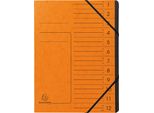 Exacompta 541204E Organizer - 12 Scomparti, A4, Truciolato Colorato, Arancione