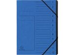 Exacompta 541202E Organizer - 12 Scomparti, A4, Truciolato Colorato, Blu