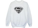 Dc Comics - Felpa Per Ragazzi BI33025 (152-158) (Bianco)