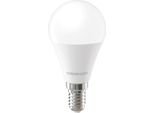 Forever Light Lampada Led E14 G45 8,5W 1000Lm 3000K Classe Di Efficienza Energetica E