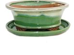Ciotola Bonsai Con Piattino Gr. 8 Pollici - Verde-Beige - Ovale - Modello O4 - L 21 Cm - L 17 Cm - H 6 Cm