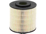 Hengst Filter Filtro Carburante Articolo: E52KP D36