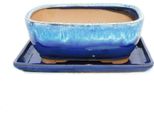 Ciotola Bonsai Con Piattino Misura 3 Blu-Beige Rettangolare Modello Gb5 L 21,5 Cm L 17 Cm H 8 Cm