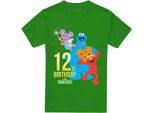 Sesame Street - Maglietta Per Uomo/Donna Unisex, 12° Compleanno TV29172 (4XL) (Irish Green)