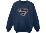 Dc Comics - Felpa Da Ragazzo BI33025 (128) (Blu Navy)