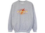 Dc Comics - Felpa Per Ragazzi BI38442 (104) (Grigio)