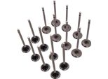 16×Valvola Di Aspirazione+Valvola Di Scarico Per Renault Clio Kangoo Laguna Megane 1,4 1,6 16V