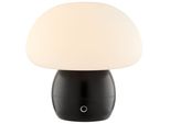 Brilliant Led Tischleuchte "Dupos", Schwarz, Ø 22Cm H: 22,2Cm, 1 Stk., Leuchten, Led Akku-Pilzleuchte, 22 Cm, 230 Lm, 2700K, Wireless Charging, Dimmbar, Led Tischleuchte