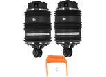 2X Sospensioni Pneumatiche Con 2 Pin Posteriori L+R Per Mercedes Classe E S211 2113200925