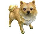 Prodex Cane Chihuahua 16 X 15 Cm, Pietra Prodex WG16536