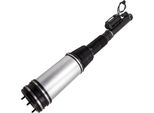 Puntone Posteriore Per Mercedes Classe S W220 Sospensione Pneumatica Sospensione Pneumatica 2203205013