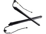 2X Molla A Gas Powerlift Portellone Posteriore Per Vw Sharan 7N1 7N2 Seat Alhambra 710 711