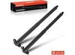 Frankberg 2X Portellone Posteriore Con Molla A Gas Per Mercedes-Benz Classe M W164 2005-2011
