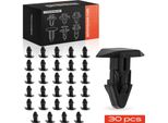 Frankberg 30X Clip Di Montaggio Per Honda Accord Vi Cg Ch Cl 1997-2003
