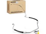 Frankberg 1X Tubo Servosterzo Per Renault Megane I BA0/1 EA0/1 DA0/1 1.4L 1.6L 1999-2003