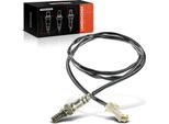 Frankberg 1X Sonda Lambda Sensore Di Controllo/Sensore Diagnostico Prima/Dopo Il Catalizzatore Per CitroëN Xantia C4 Lancia Zeta Peugeot 206 301