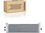 Frankberg 1X Radiatore Olio Motore Per Bmw F22 F87 F30 F80 F32 F82 F97 G01 F98 G02 3.0L