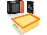 Elemento Filtrante Aria Frankberg 1X Per Renault Megane Iv ScéNic Talisman Nissan Townstar