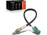 Frankberg 1X Sonda Lambda Sonda Diagnostica Dopo Convertitore Catalitico Per Nissan 350 Z Z33 Almera Ii N16 Primera P12 Teana I