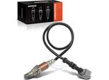 Frankberg 1X Sonda Lambda Sensore Di Controllo Prima Del Convertitore Catalitico Per Honda Accord 7 Cl +Tourer Cm 2.0L 2.4L 2003-2008
